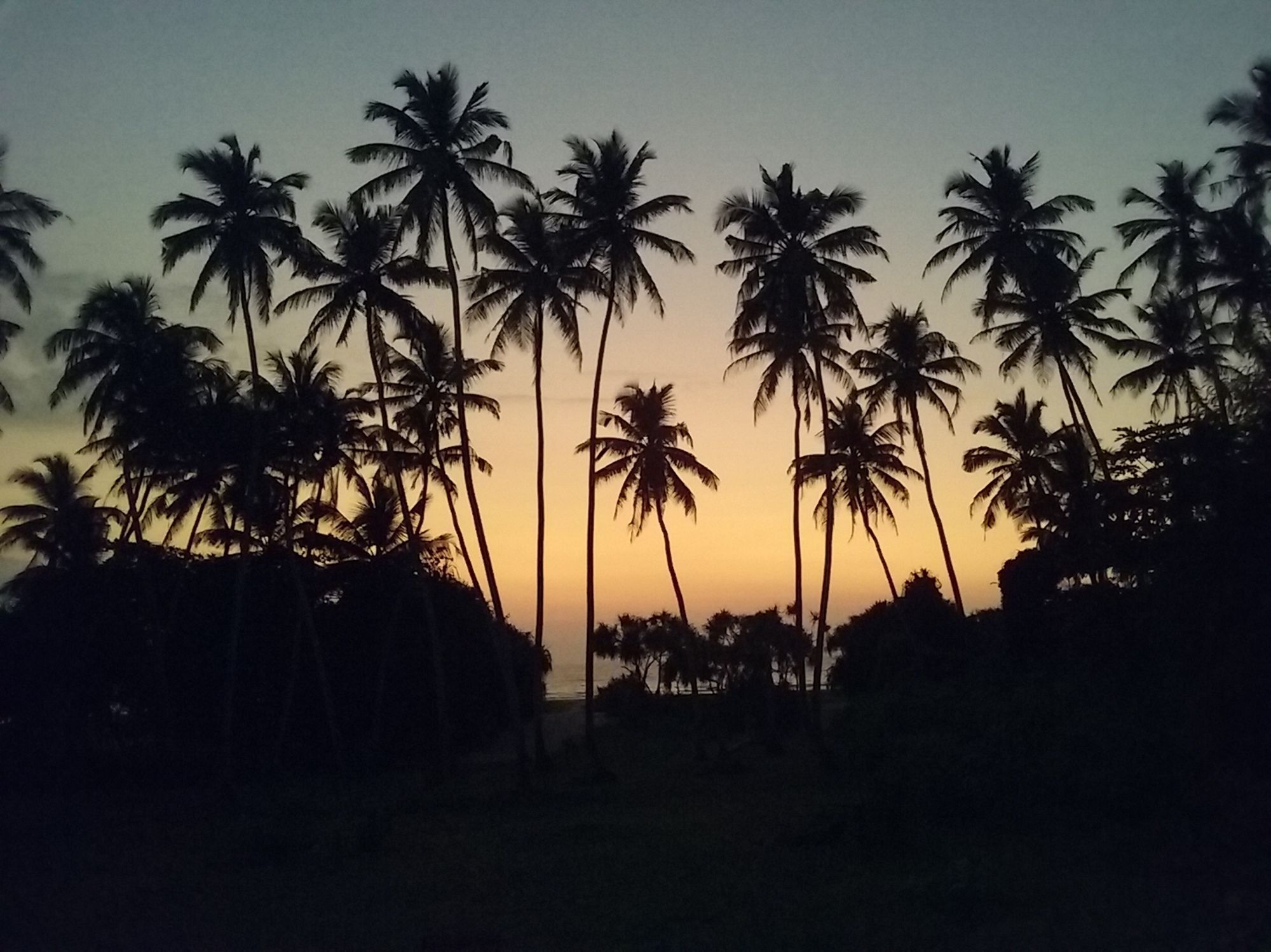 Ocean View Hotel Bentota Esterno foto