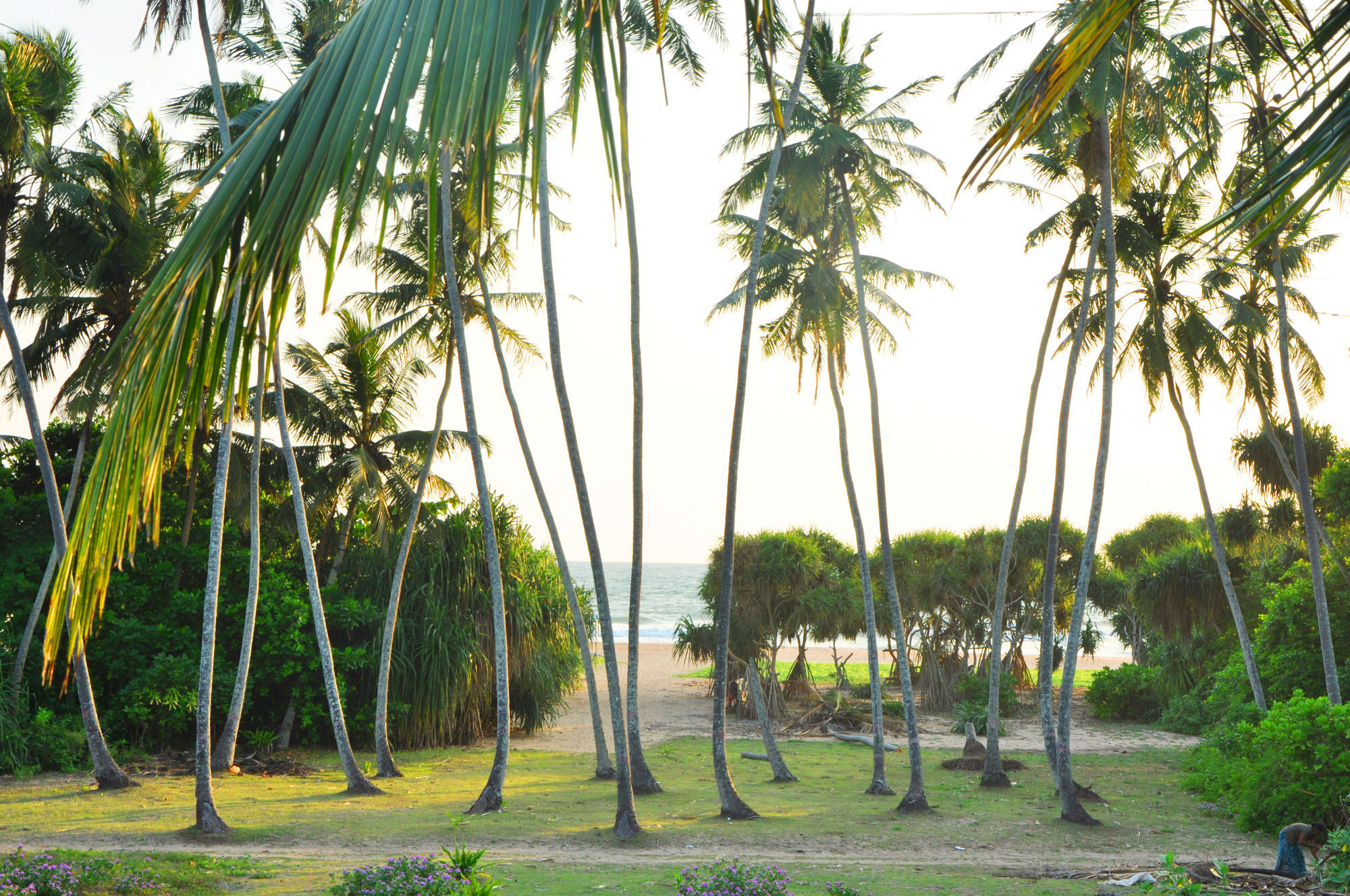 Ocean View Hotel Bentota Esterno foto